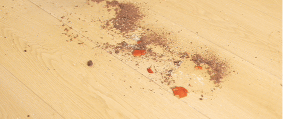 amopcannotpickupsolidwaste_5Hxn.gif